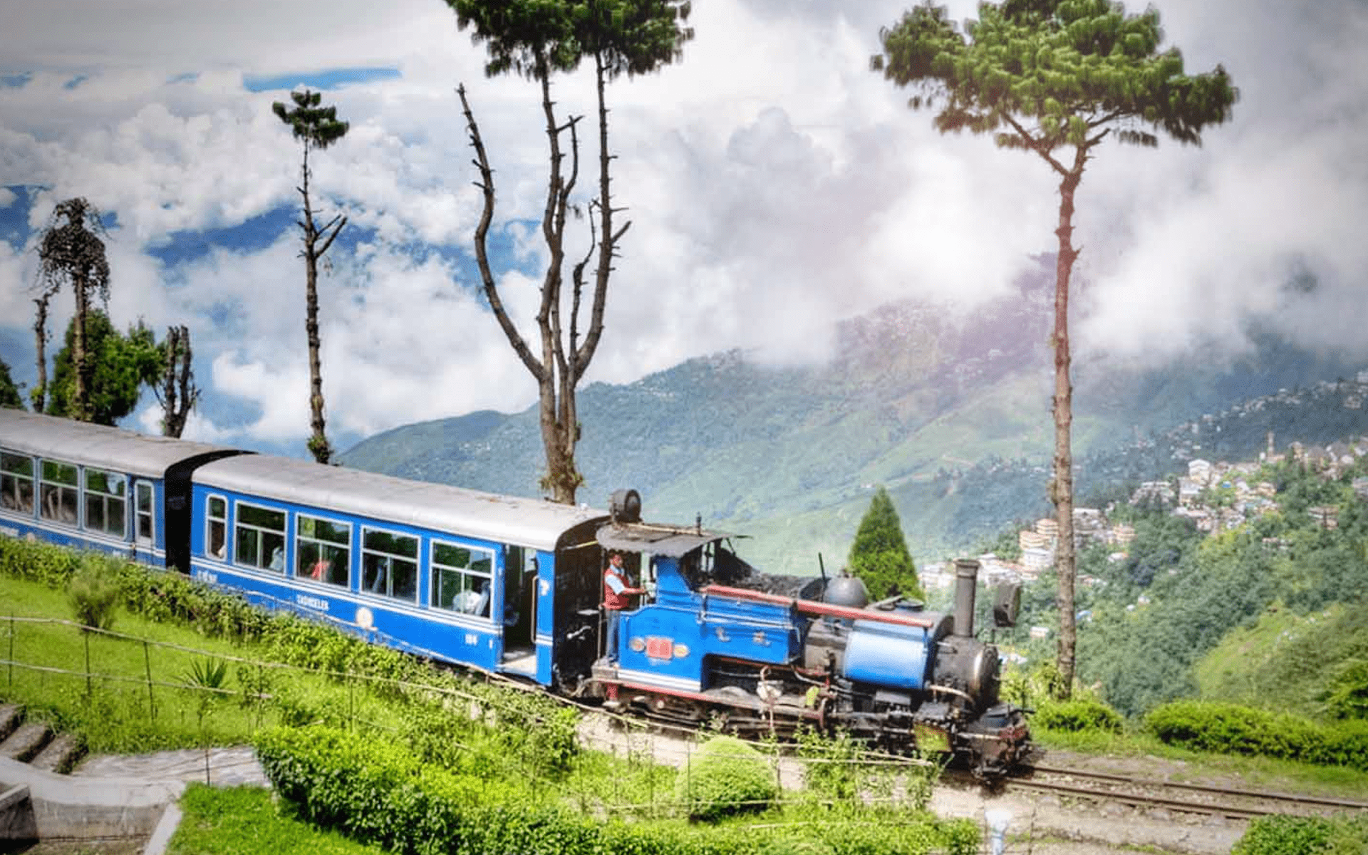 darjeeling Exclusives tour packeges