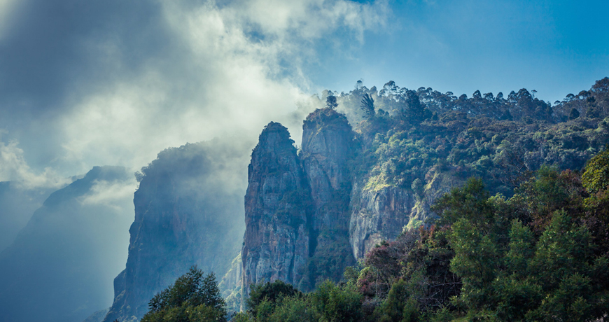Kodaikanal Exclusives tour packeges
